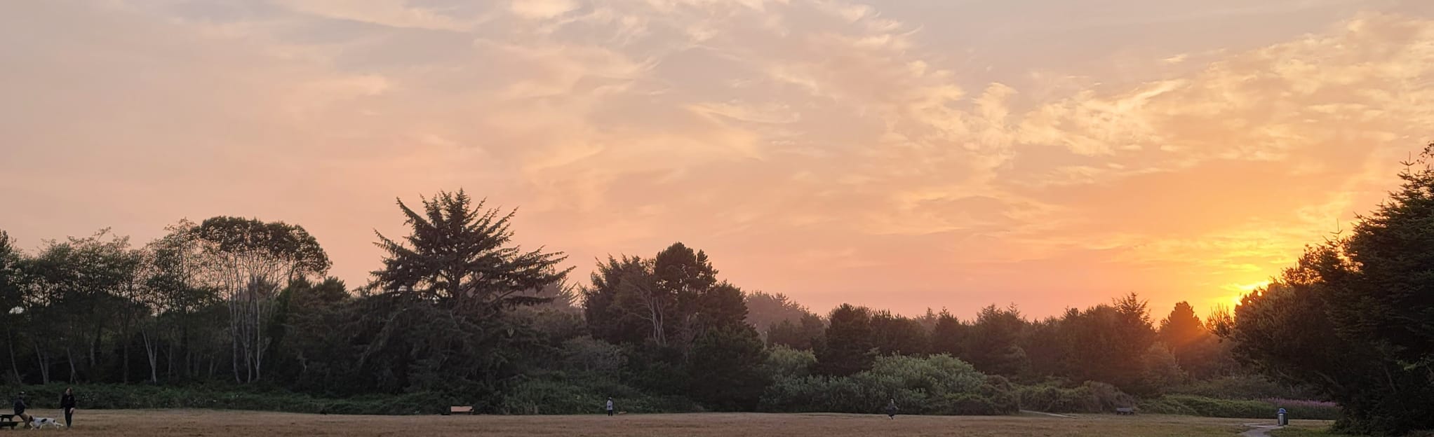 Hiller Park and Mad River Bluffs, California 112 Reviews, Map AllTrails