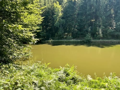 Am Odenbach zum Kesselblick