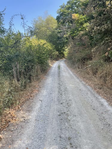 Der Überhöhische (Premiumwanderweg)