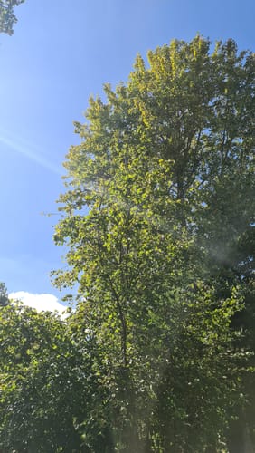 Zwischen Sandau und Havelberg