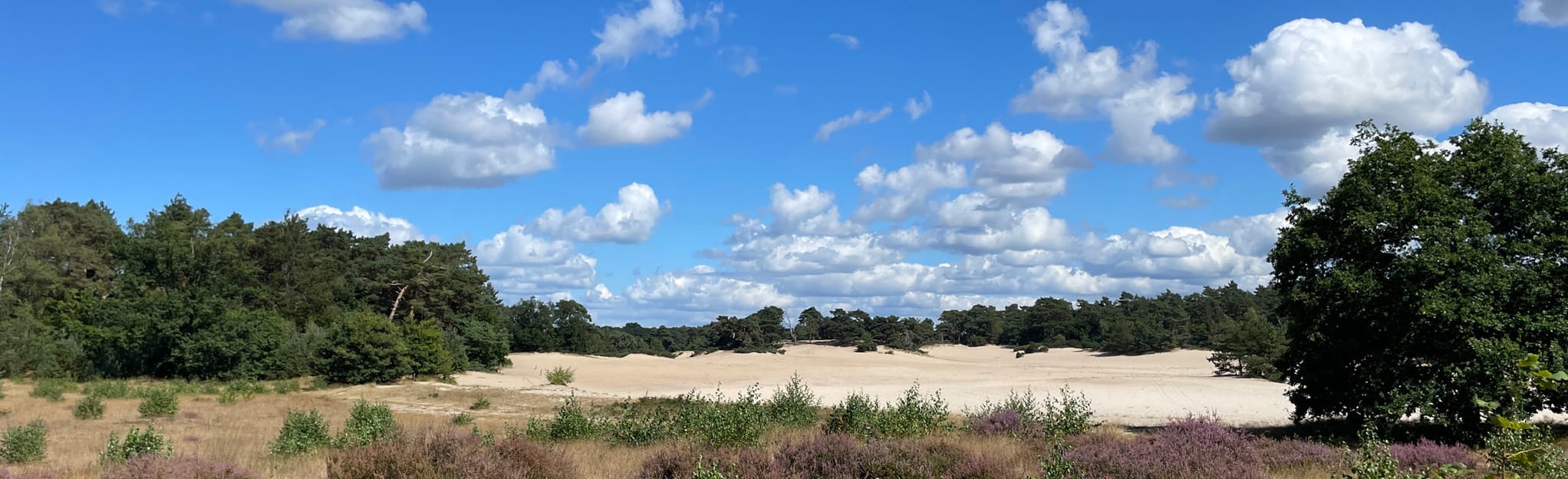 De Korte Duinen Oranje Wandelroute, 105