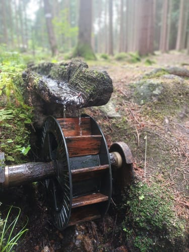 Buchberg-Rundweg ab Willmering