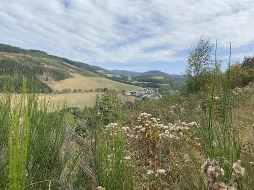 Westfelder Antoniussteig (Premiumwanderweg)