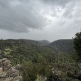 Sycamore Rim Trail, Arizona - 325 Reviews, Map | AllTrails