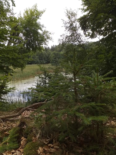 Wanderroute Boxberg-Waldhütten