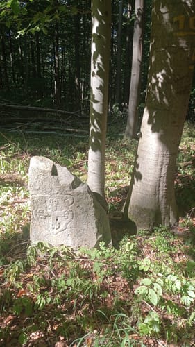 Pyrmonter Berg ab Bergkurpark