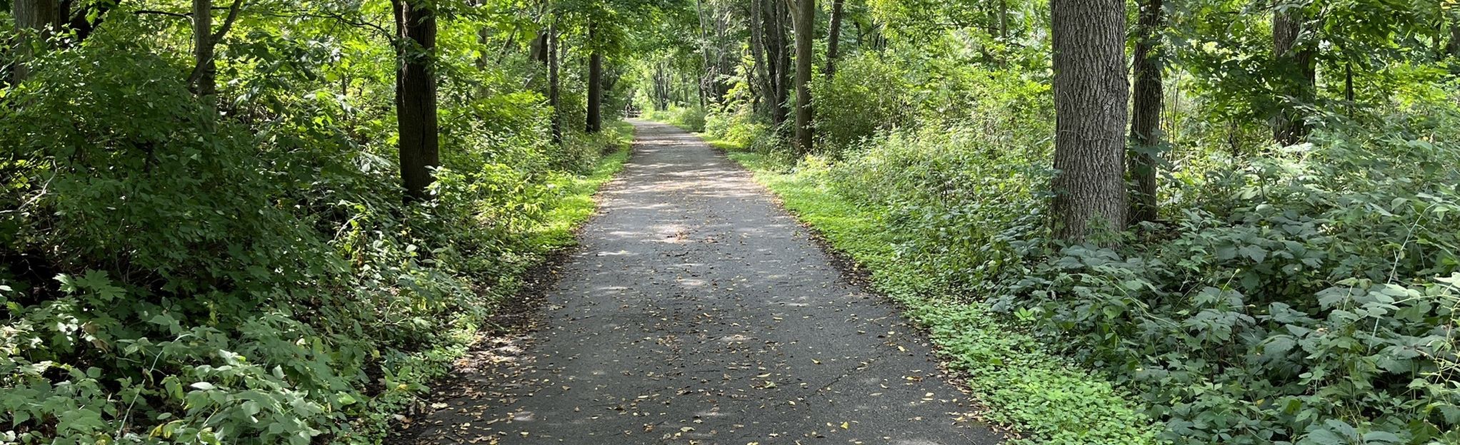 Seven Waters Bike Trail 54 Reviews - EyJidWNrZXQiOiJhc3NldHMuYWxsdHJhaWxzLmNvbSIsImtleSI6InVwbG9hZHMvcGhvdG8vaW1hZ2UvNTEzMjcyOTQvNzQ5NGUzNWU1ZGMzODBlMGRmZTM1MDMxNjY5NmJmZDMuanBnIiwiZWRpdHMiOnsidG9Gb3JtYXQiOiJqcGVnIiwicmVzaXplIjp7IndpZHRoIjoyMDQ0LCJoZWlnaHQiOjYyNCwiZml0IjoiY292ZXIifSwicm90YXRlIjpudWxsLCJqcGVnIjp7InRyZWxsaXNRdWFudGlzYXRpb24iOnRydWUsIm92ZXJzaG9vdERlcmluZ2luZyI6dHJ1ZSwib3B0aW1pc2VTY2FucyI6dHJ1ZSwicXVhbnRpc2F0aW9uVGFibGUiOjN9fX0=