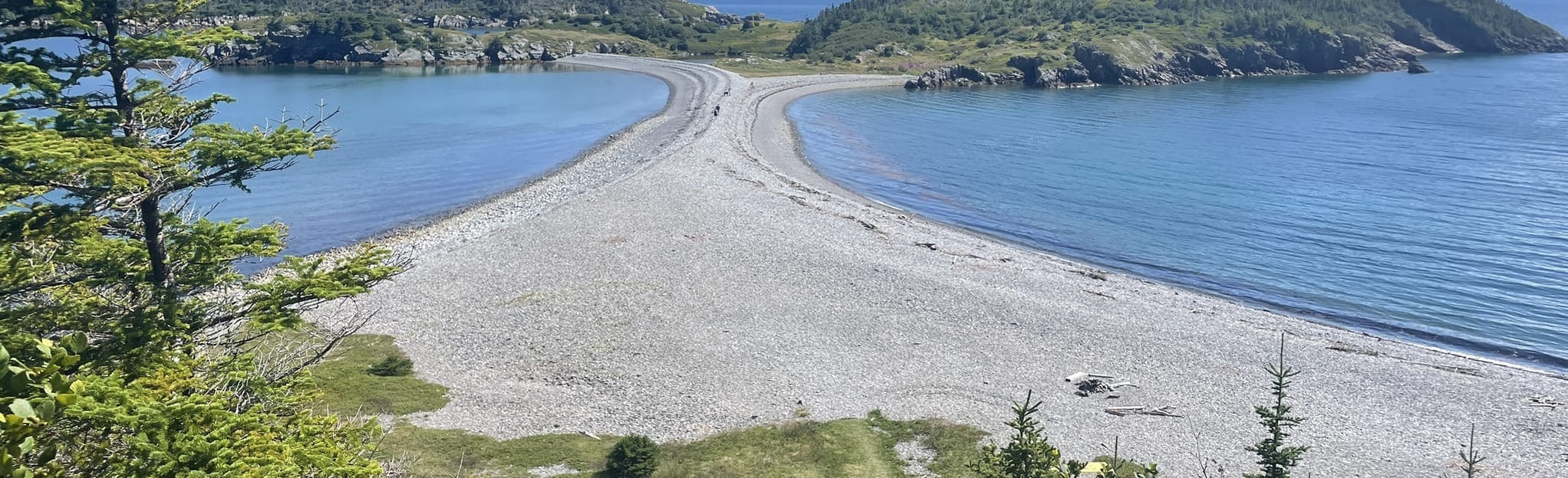 Heart’s Ease Beach Trail, Newfoundland and Labrador, Canada 105