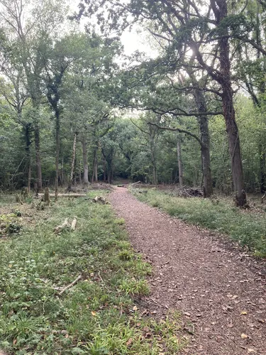 Best Hikes and Trails in Lower Woods Nature Reserve AllTrails