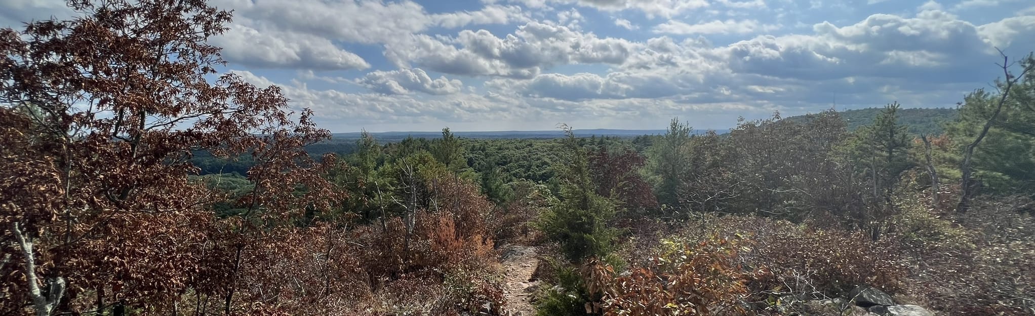 North Skyline Trail to Skyline - EyJidWNrZXQiOiJhc3NldHMuYWxsdHJhaWxzLmNvbSIsImtleSI6InVwbG9hZHMvcGhvdG8vaW1hZ2UvNTEzMzM0NzIvMzc5MTdiOTFhNGYxODQ5YjA5MzI3NzdlMGZhOWI3OTAuanBnIiwiZWRpdHMiOnsidG9Gb3JtYXQiOiJqcGVnIiwicmVzaXplIjp7IndpZHRoIjoyMDQ0LCJoZWlnaHQiOjYyNCwiZml0IjoiY292ZXIifSwicm90YXRlIjpudWxsLCJqcGVnIjp7InRyZWxsaXNRdWFudGlzYXRpb24iOnRydWUsIm92ZXJzaG9vdERlcmluZ2luZyI6dHJ1ZSwib3B0aW1pc2VTY2FucyI6dHJ1ZSwicXVhbnRpc2F0aW9uVGFibGUiOjN9fX0=