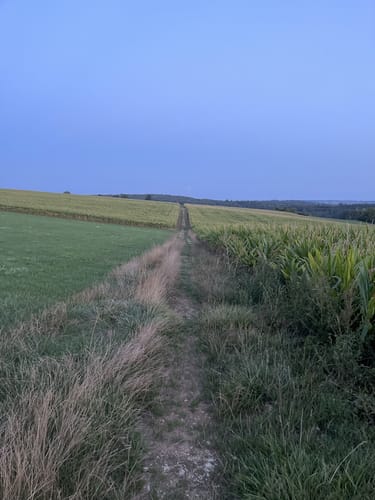 Main-Donau-Weg Querverbindung: Feuchtwangen-Pappenheim