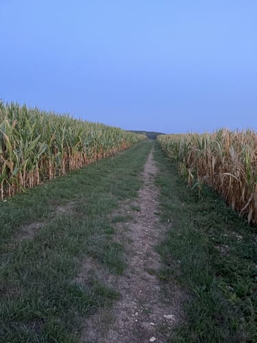 Main-Donau-Weg Querverbindung: Feuchtwangen-Pappenheim