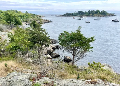 Best Hikes and Trails in Misery Island Reservation AllTrails