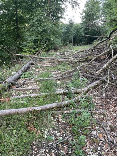 Main-Donau-Weg Querverbindung: Feuchtwangen-Pappenheim