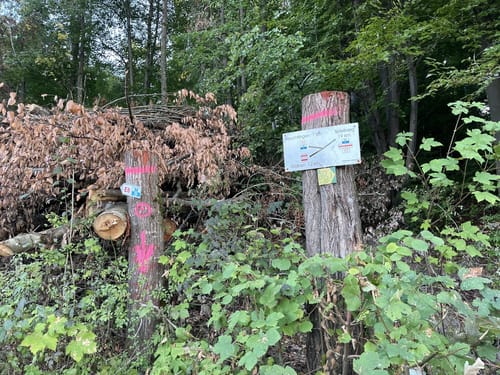 Main-Donau-Weg Querverbindung: Feuchtwangen-Pappenheim