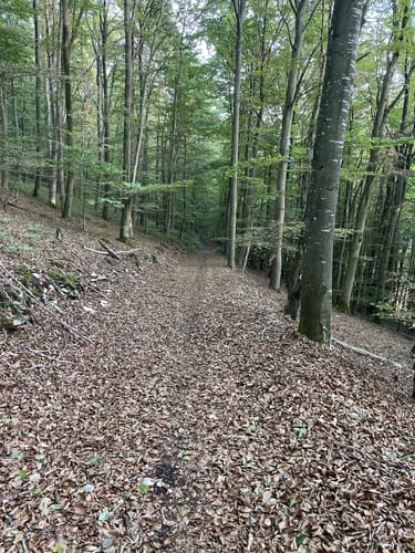 Main-Donau-Weg Querverbindung: Feuchtwangen-Pappenheim