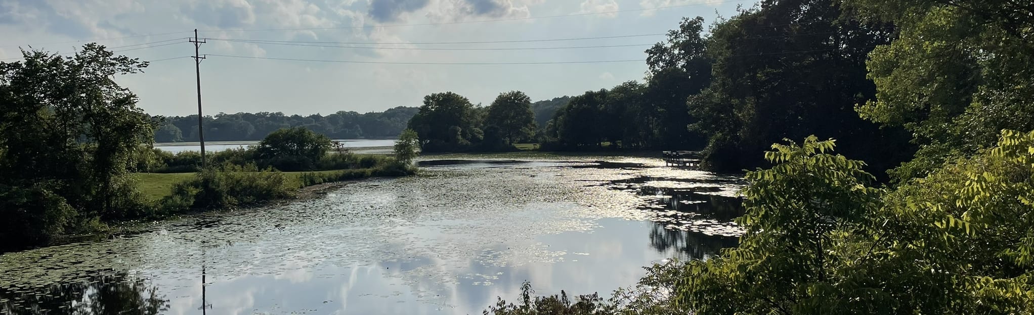 Spring Valley Lake 167 Reviews, Map Michigan AllTrails