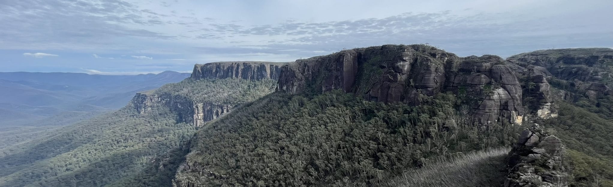 Castle Walking Track 226 Reviews, Map New South Wales, Australia AllTrails