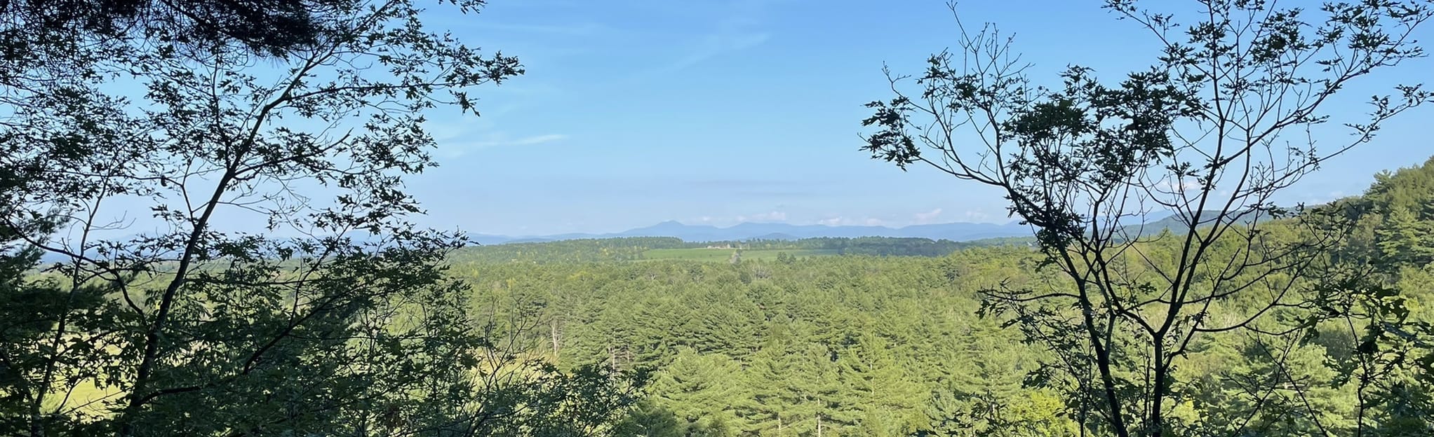 Black Kettle Trail, New York 7 Reviews, Map AllTrails