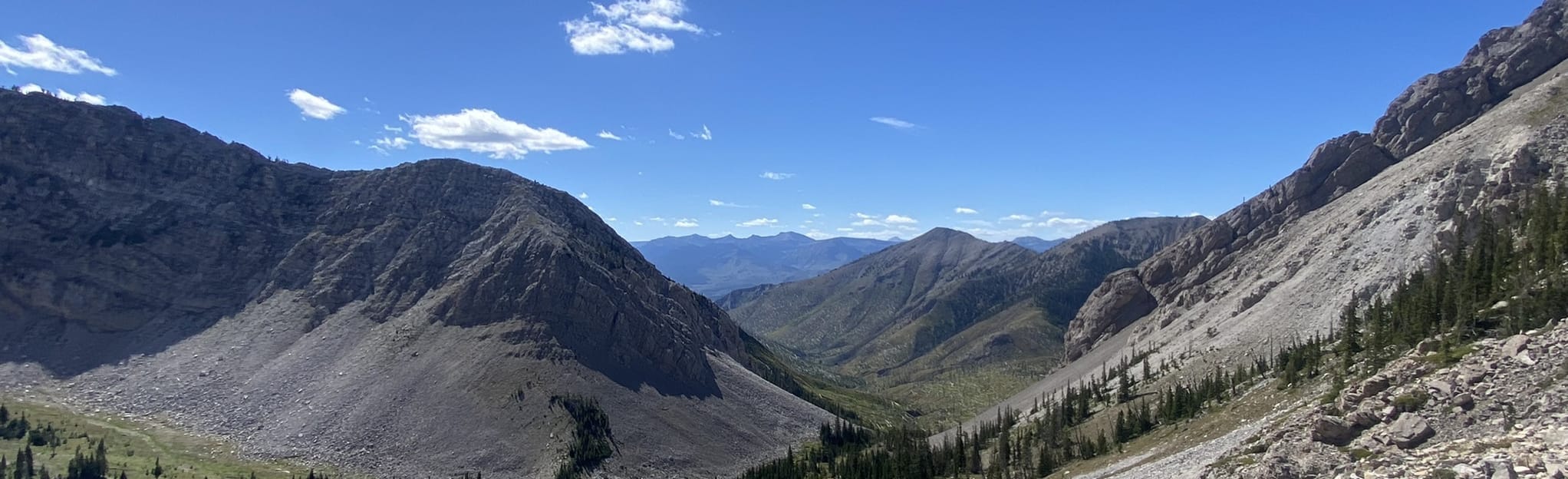 rocky mountain 26