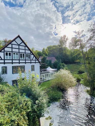 Aumühle-Sachsenwaldau-Runde