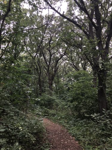 Roy Lake State Park: South Dakota's Hidden Gem