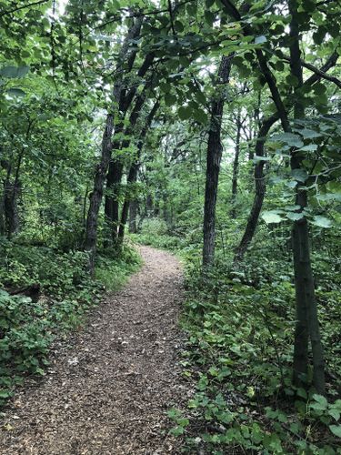 Best Hikes and Trails in Roy Lake State Park | AllTrails