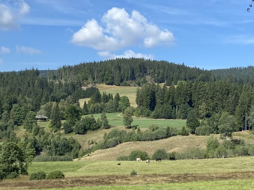 Säbelthomaweg (Genießerpfad)