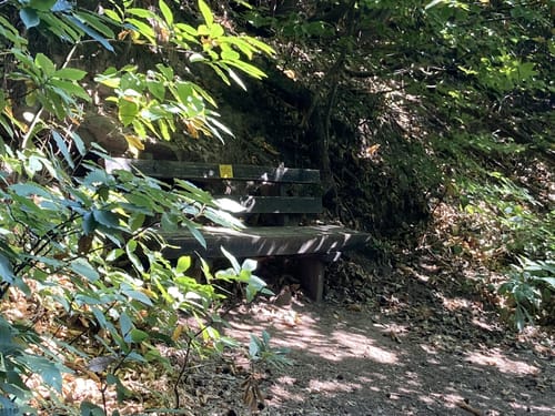 Gleiszellen: Mischwald-Wanderweg