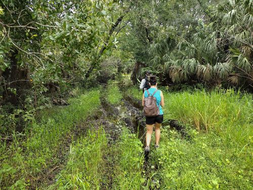 Best Hikes and Trails in Cockroach Creek Greenway Nature Preserve ...