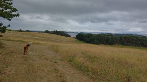 Zickersche Berge: Mönchsgut - Groß Zwicker - Gager