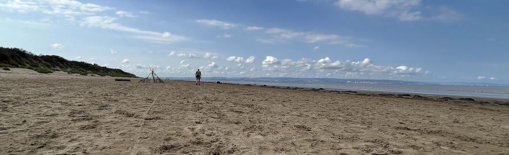 is burnham beach dog friendly