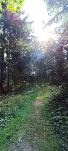 Von Dürrnberg zum Zinkenkopf