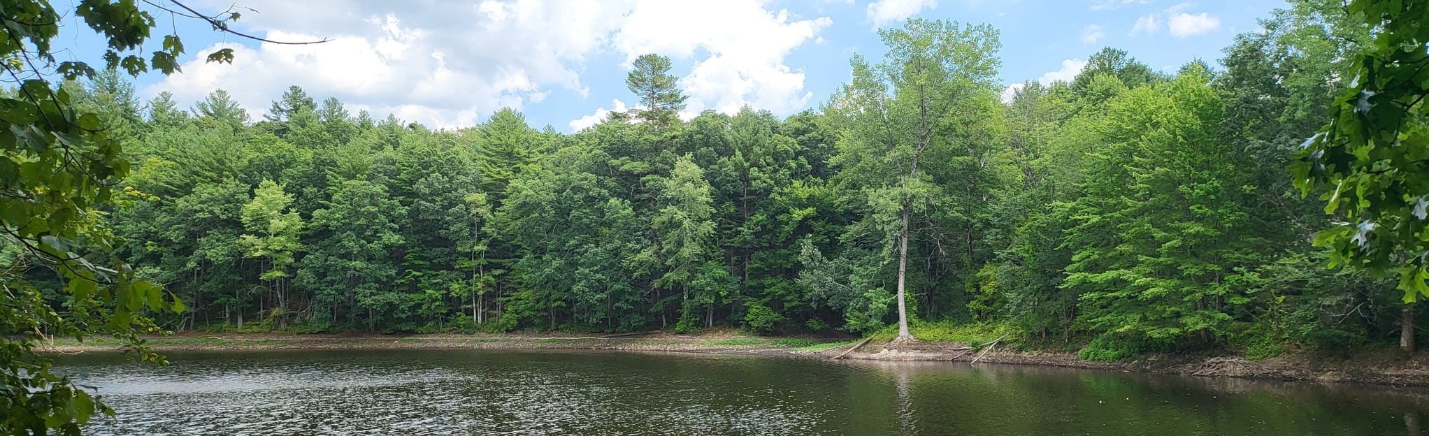 Wachusett Reservoir and French Hill Loop 140 Reviews, Map