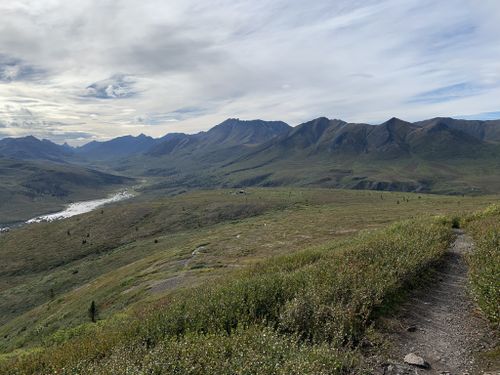 2023 Best 10 Trails and Hikes in Yukon | AllTrails