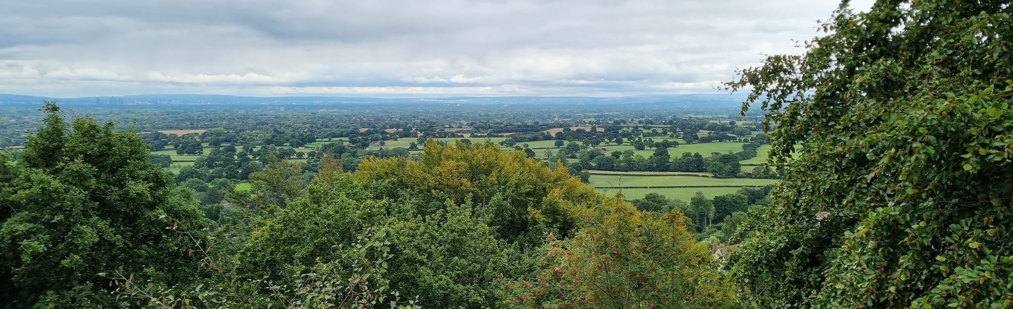 Alderley Edge Circular 274 Reviews, Map Cheshire, England AllTrails
