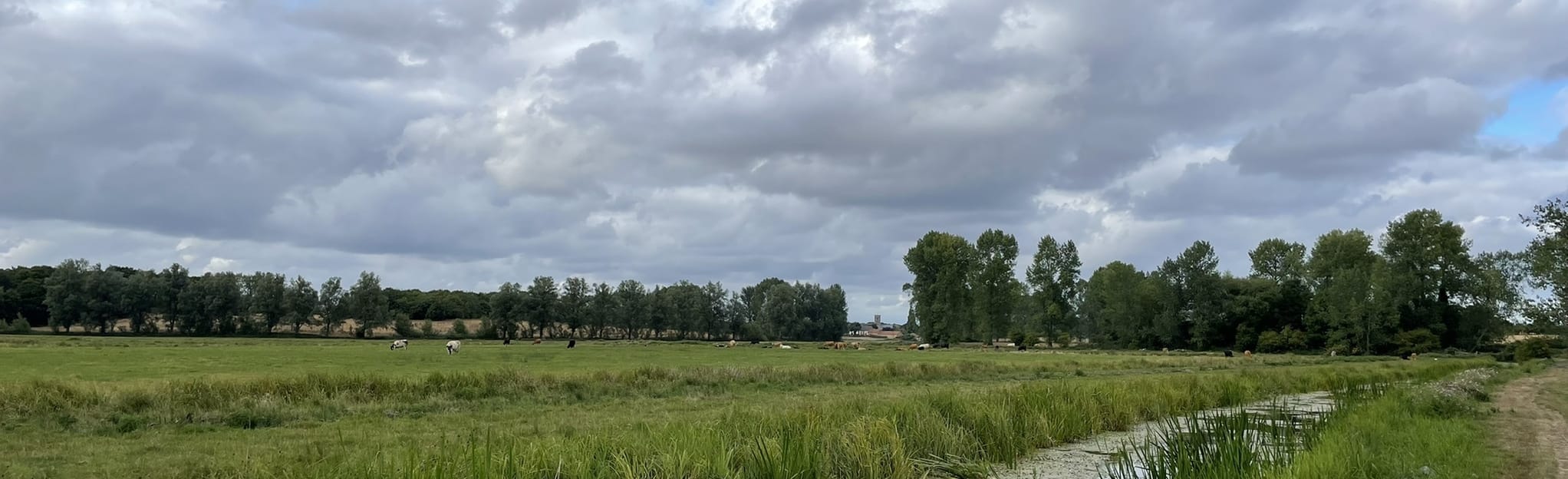 Aldeby Lakes and River Waveney Circular 14 Fotos Suffolk, England