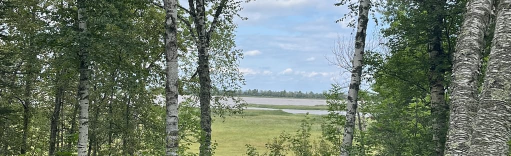 Makwa Ziibiins Miikana (Bear Creek Trail): 71 Reviews, Map - Wisconsin |  AllTrails
