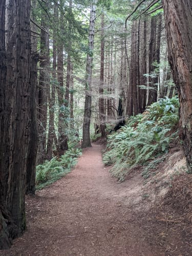 stillwater cove regional park reservations