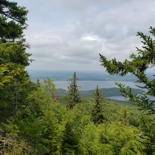 Best River Trails in Rockwood AllTrails