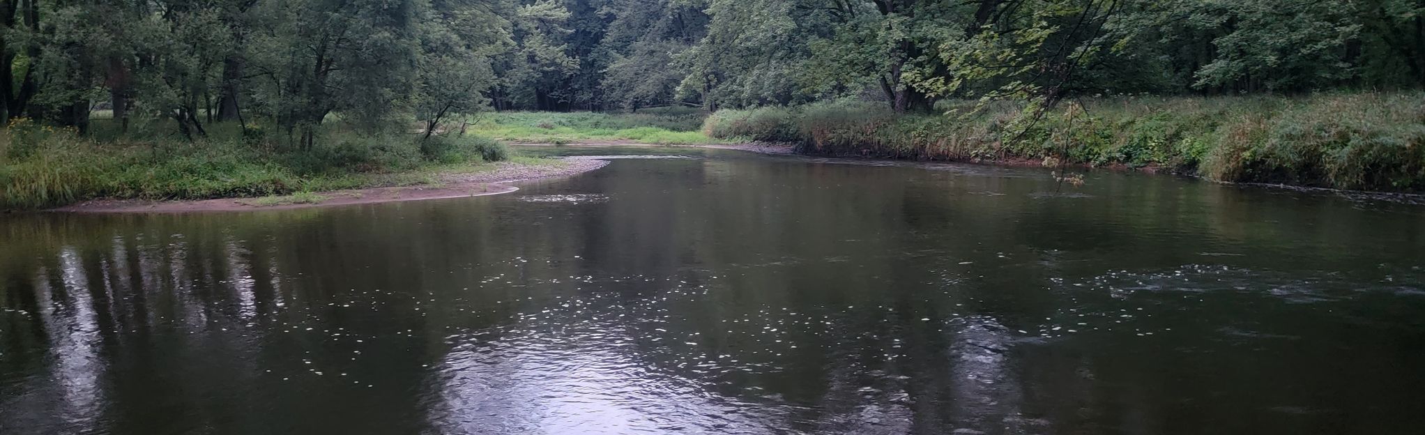 Eau Claire River Trail, Wisconsin 61 Reviews, Map AllTrails