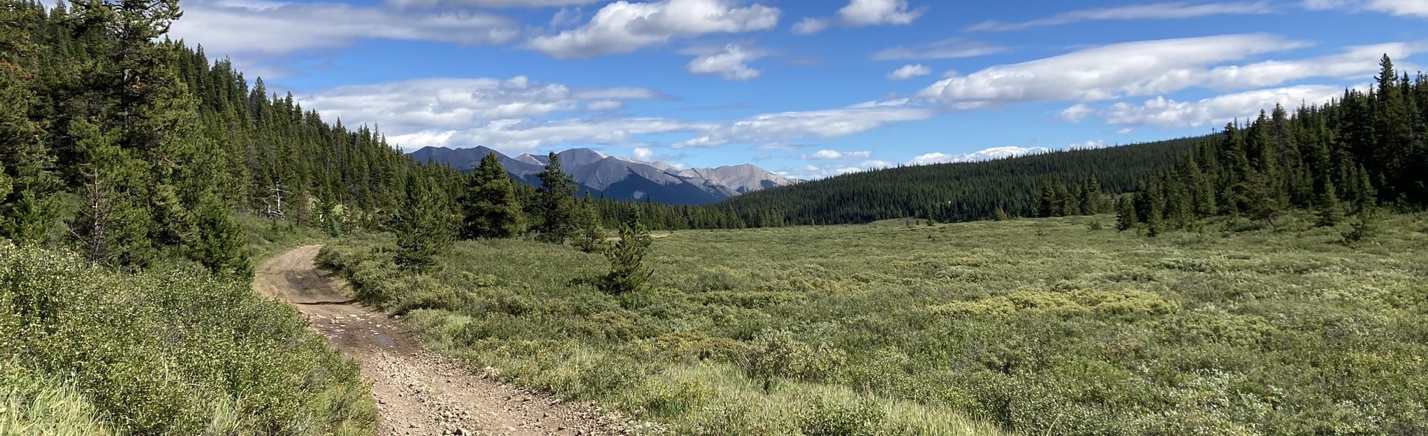 Onion Lake Trail, Alberta, Canada 20 Reviews, Map AllTrails