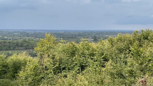 Kenzingen - Lahr