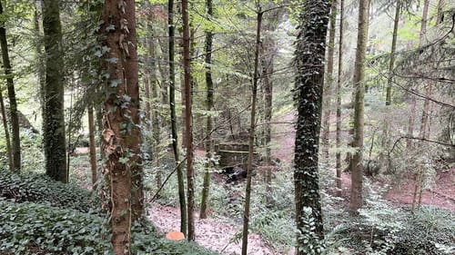 Kenzingen - Lahr