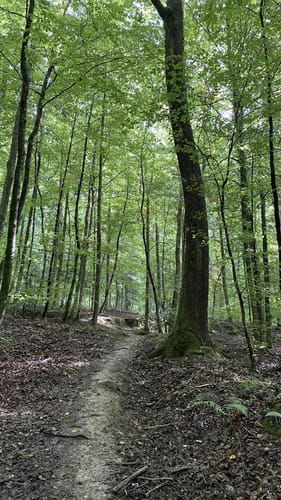 Kenzingen - Lahr
