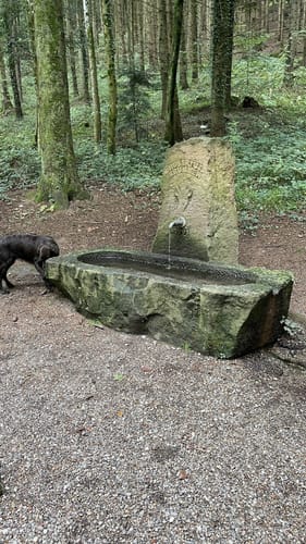 Kenzingen - Lahr