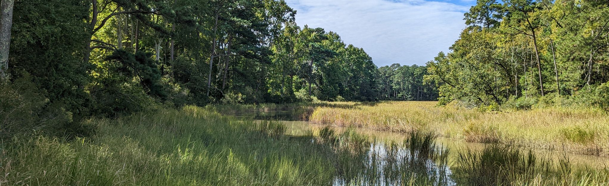 Historic Jamestown, Virginia 501 Reviews, Map AllTrails