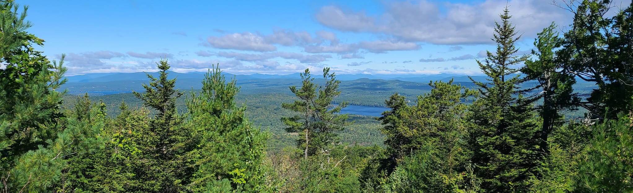 Pitch Pine Forest, Burrows Farm, and Phoebes Nable, New Hampshire 58