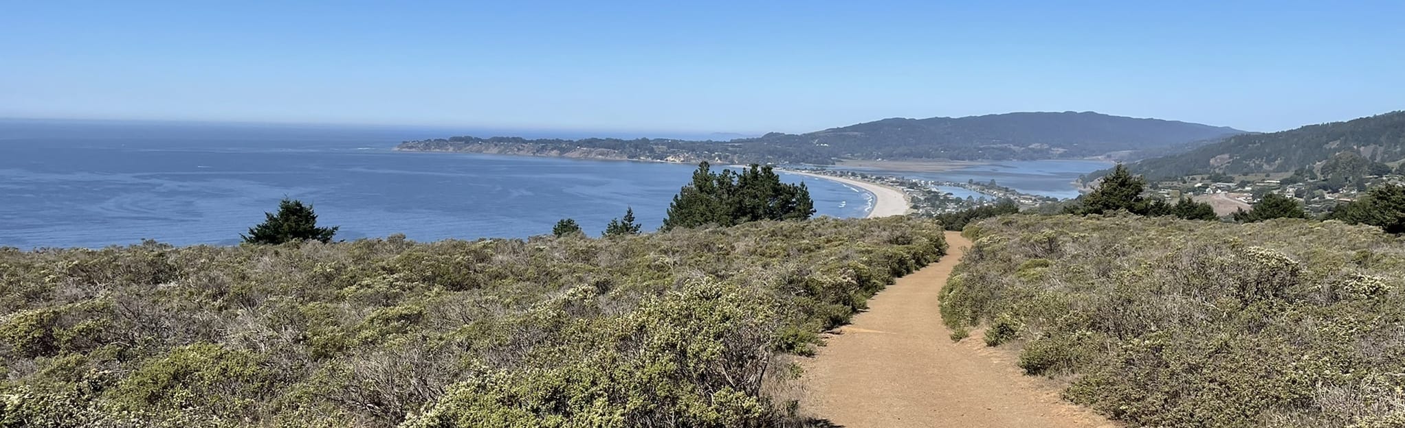 Dipsea Trail from Mill Valley Trailhead, California 1,840 Reviews