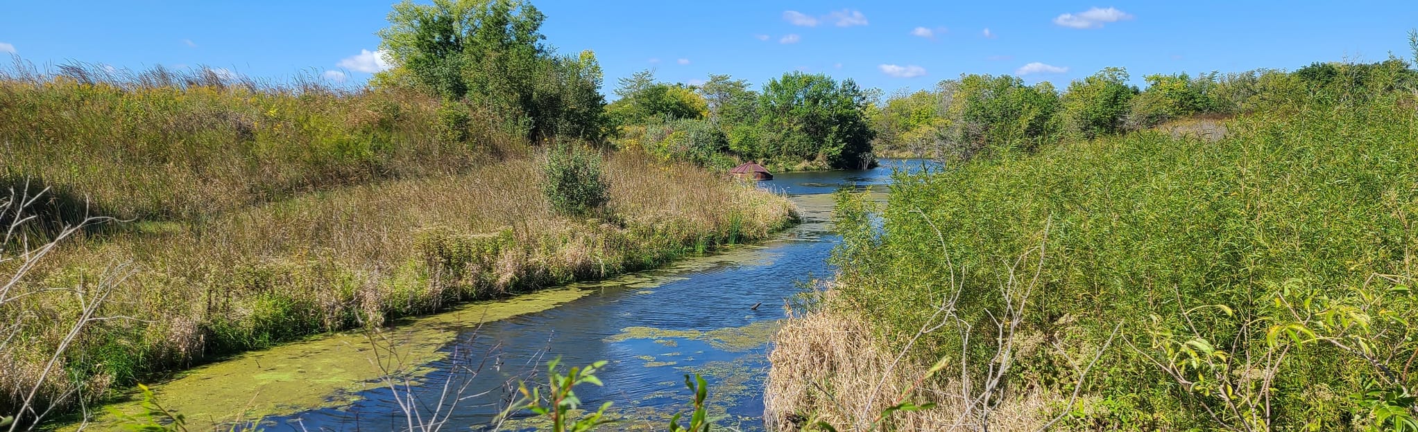 Gridley Lake Trail: 43 Reviews, Map - Illinois | AllTrails